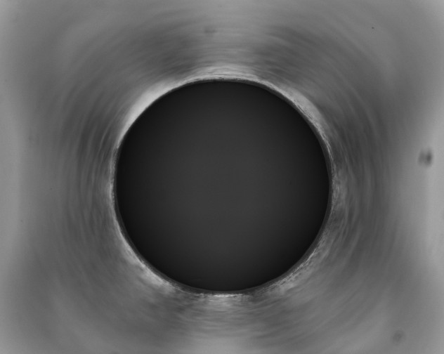 X0000091001390200708091531