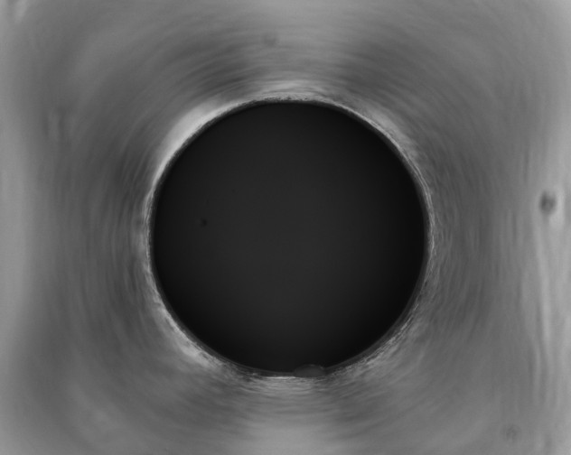 X0000091001392200708091531
