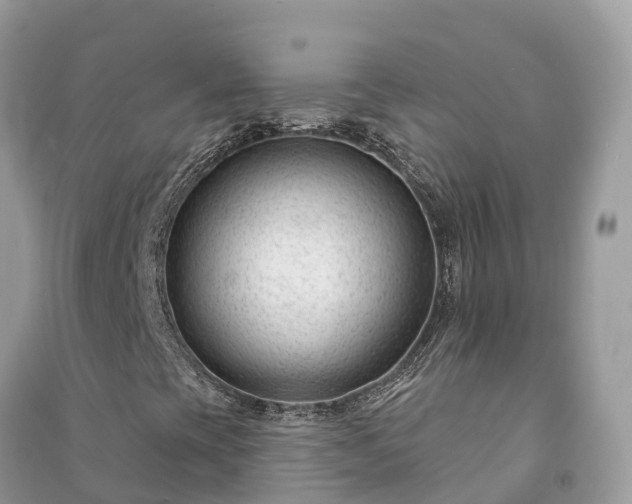 X0000091001393200708091530