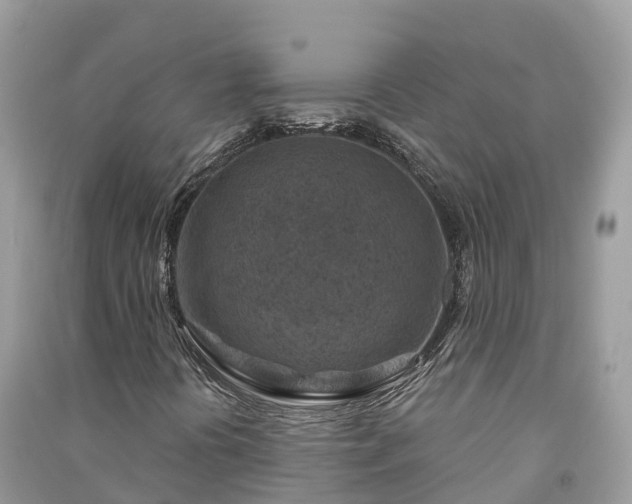 X0000091001394200708091530