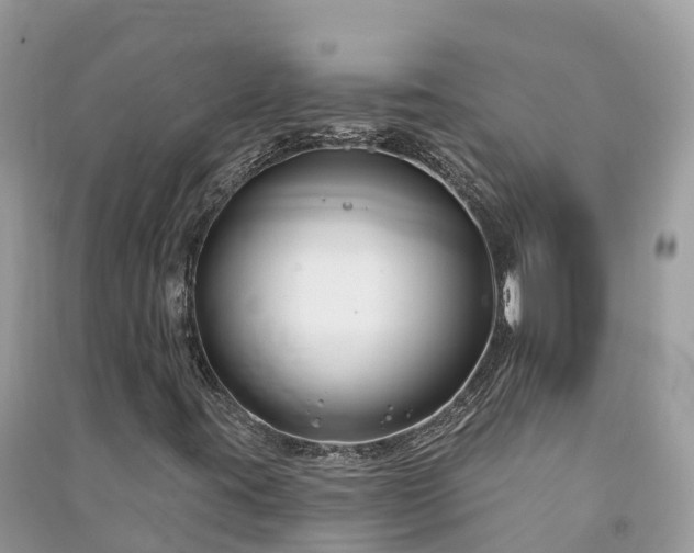 X0000091001395200708091530