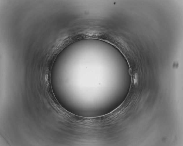 X0000091001396200708091530