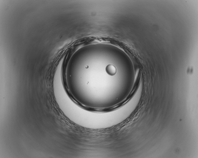 X0000091001398200708091530