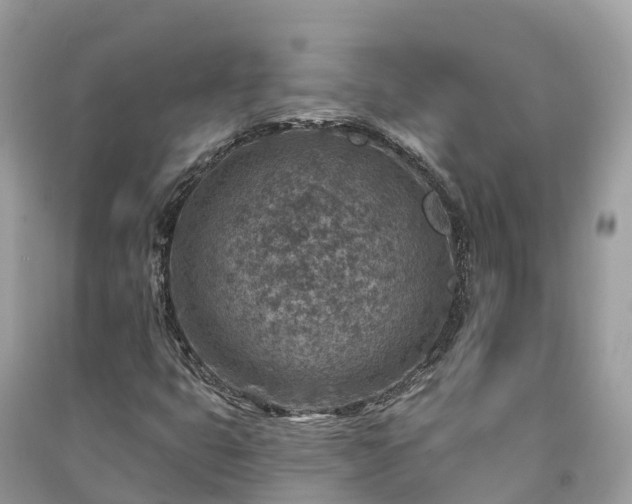 X0000091001399200708091530