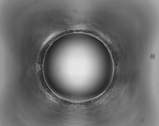 X0000091001400200708091530