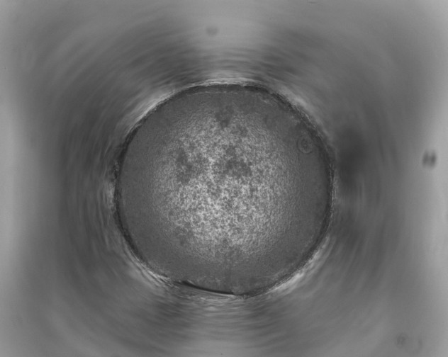 X0000091001401200708091530
