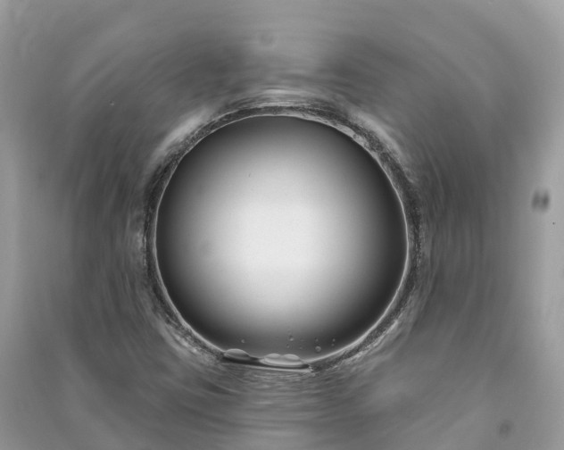 X0000091001403200708091530