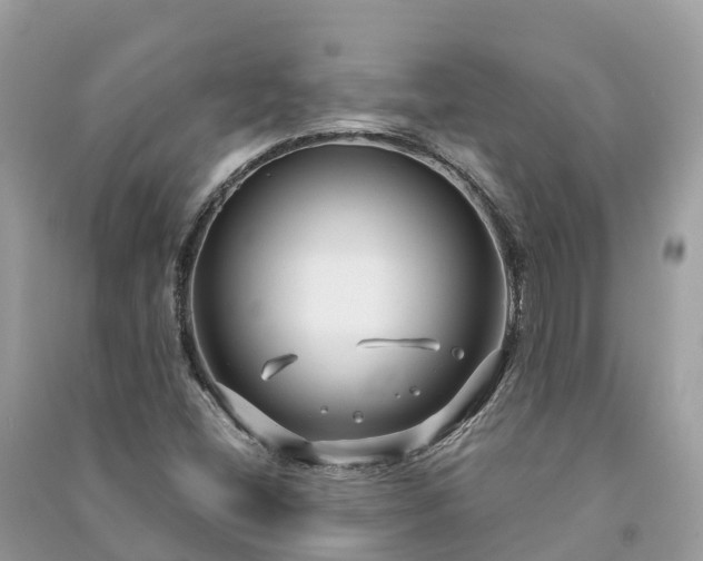 X0000091001404200708091530