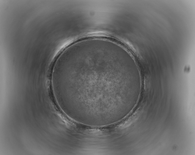 X0000091001405200708091530