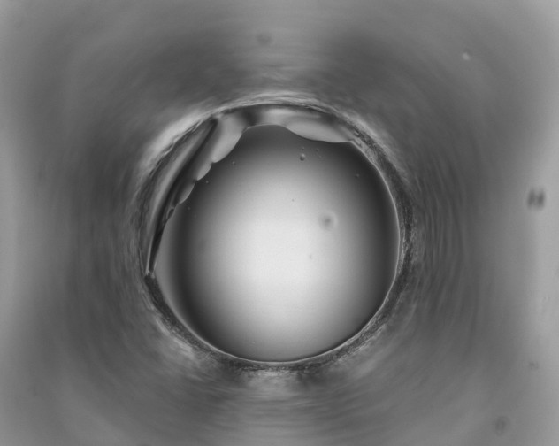 X0000091001406200708091530