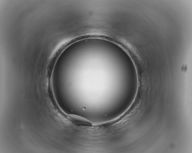 X0000091001408200708091530