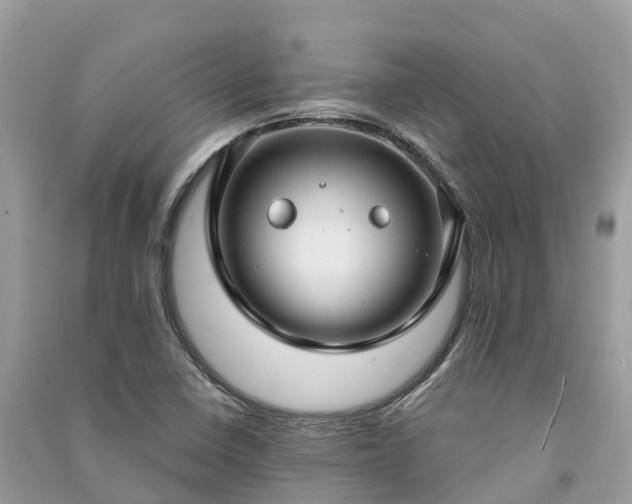 X0000091001410200708091530