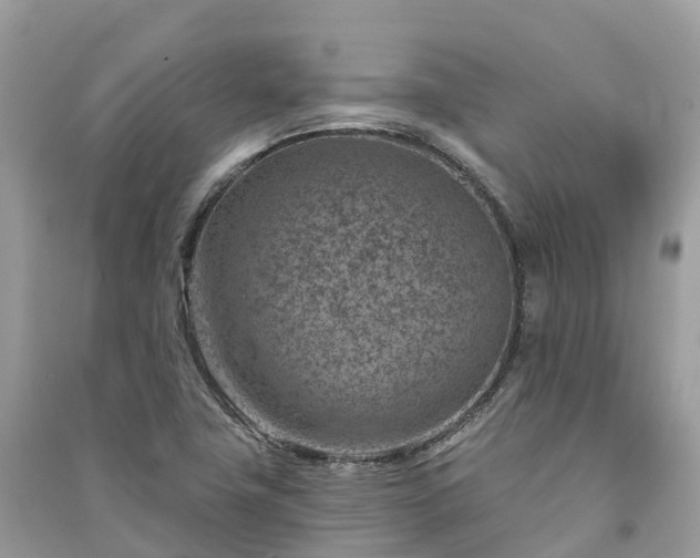 X0000091001411200708091530