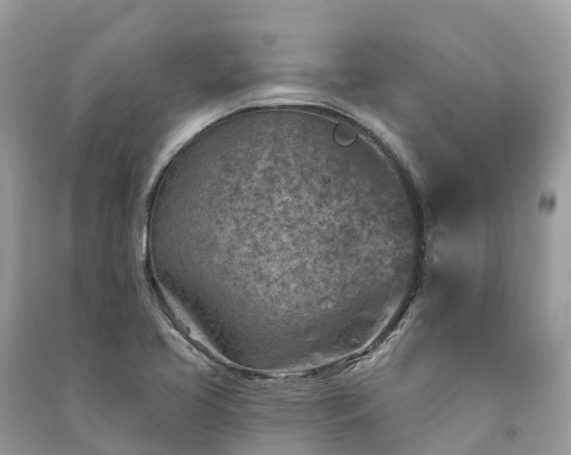 X0000091001413200708091530