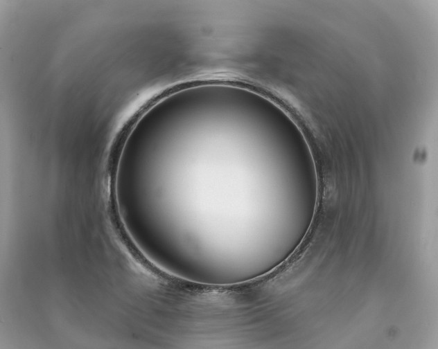 X0000091001414200708091530