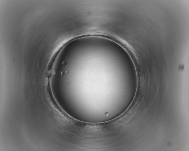 X0000091001415200708091530