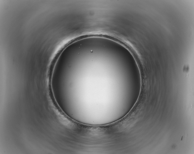X0000091001416200708091530