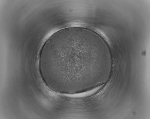 X0000091001419200708091530