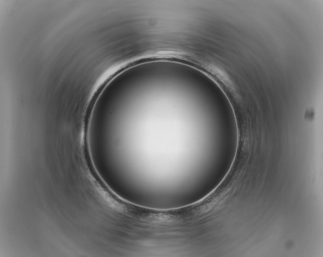 X0000091001420200708091530