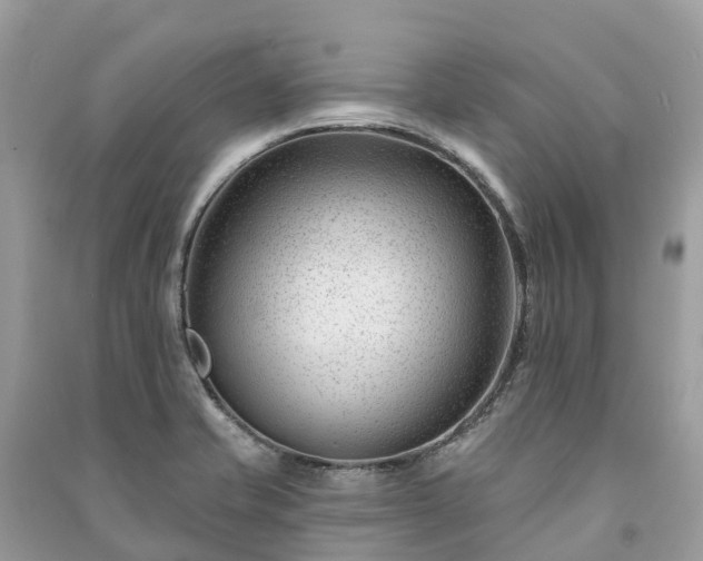 X0000091001421200708091530