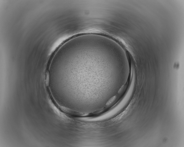 X0000091001422200708091530