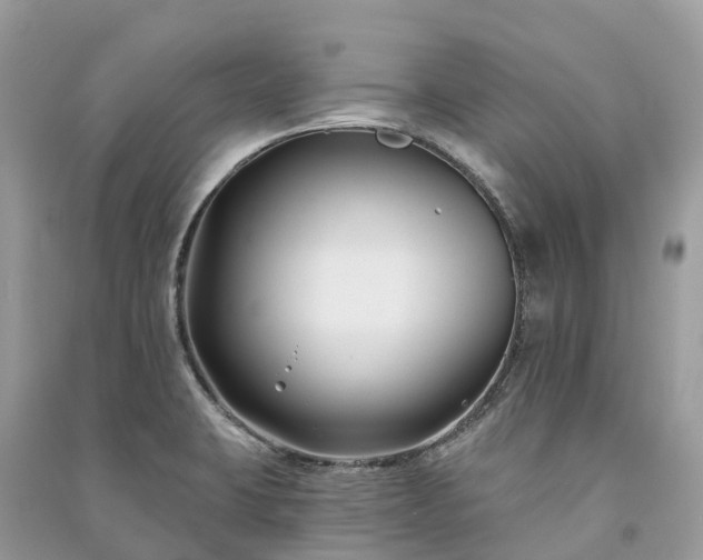 X0000091001423200708091530