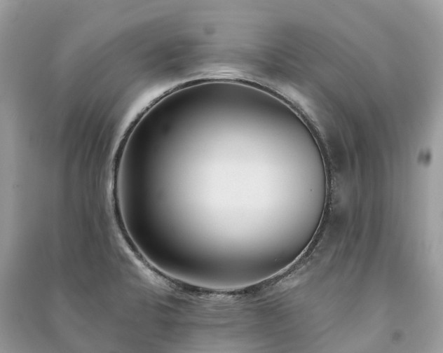 X0000091001424200708091530