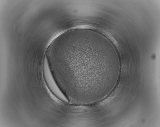 X0000091001425200708091530