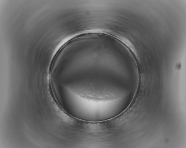 X0000091001428200708091530