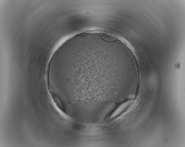 X0000091001429200708091530