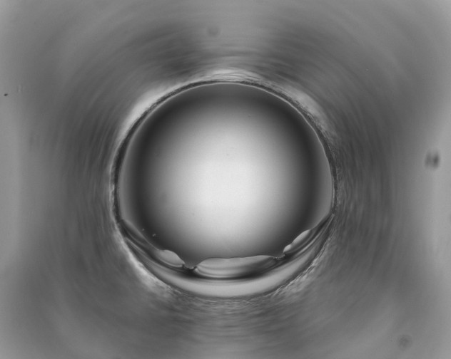 X0000091001430200708091530
