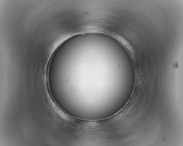 X0000091001431200708091530