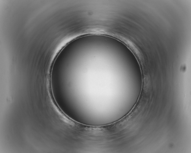 X0000091001432200708091530
