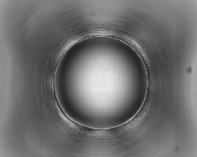 X0000091001433200708091530