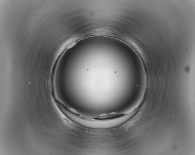 X0000091001434200708091530