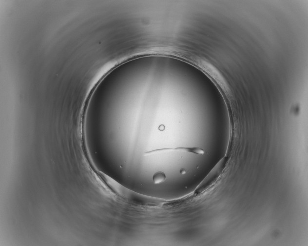 X0000091001436200708091530
