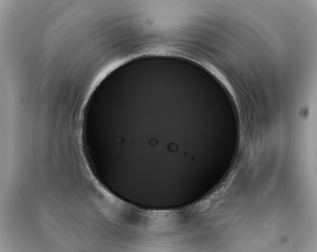 X0000091001437200708091530