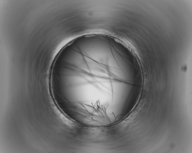 X0000091001438200708091530