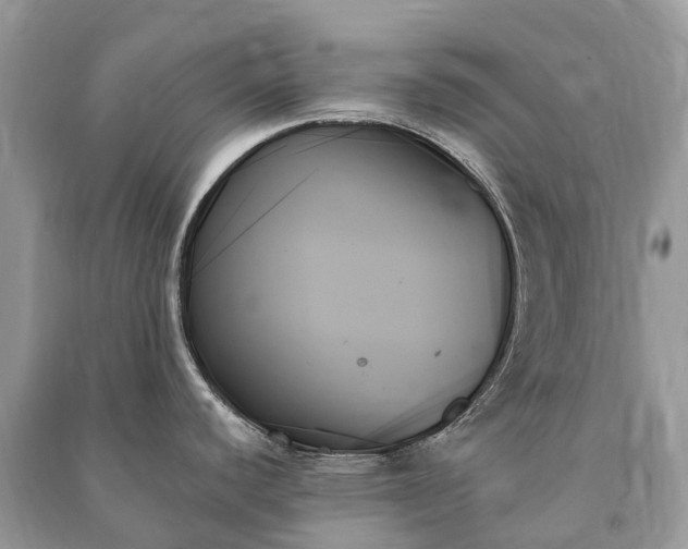 X0000091001440200708091531
