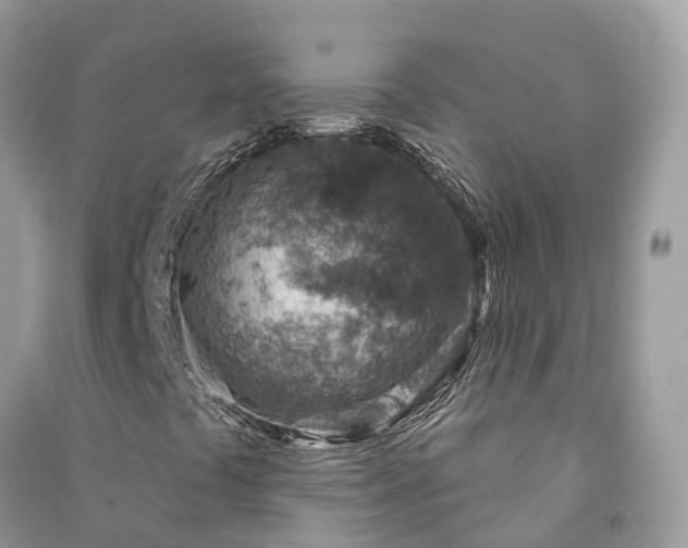 X0000091001441200708091530