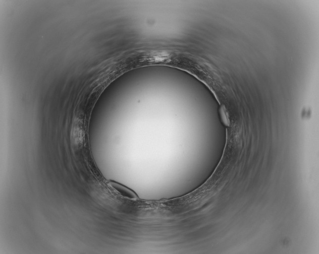 X0000091001442200708091530