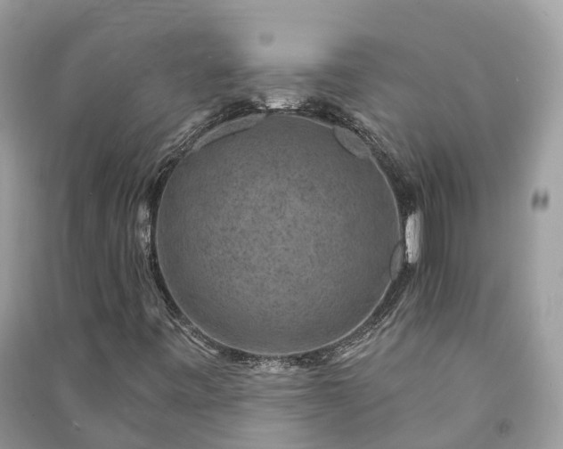 X0000091001443200708091530