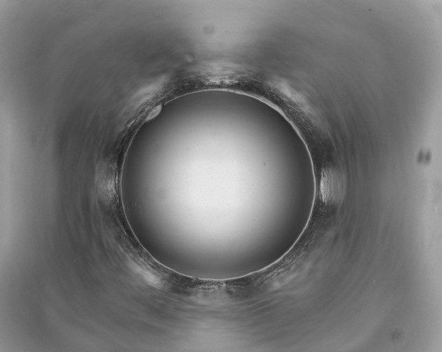 X0000091001444200708091530