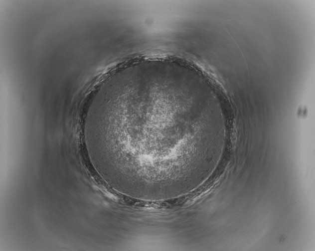 X0000091001445200708091530