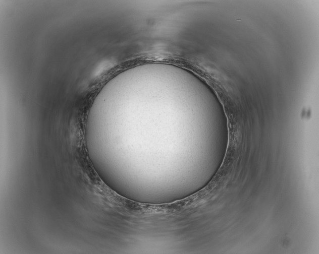 X0000091001446200708091530