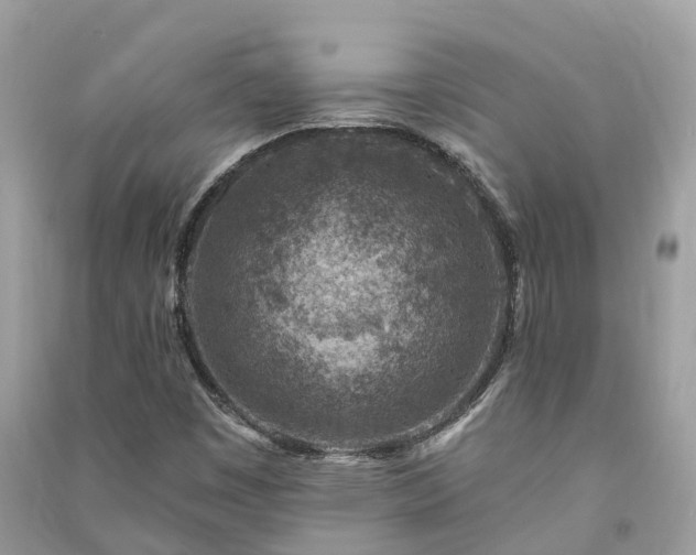 X0000091001449200708091530