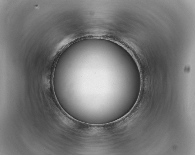 X0000091001451200708091530