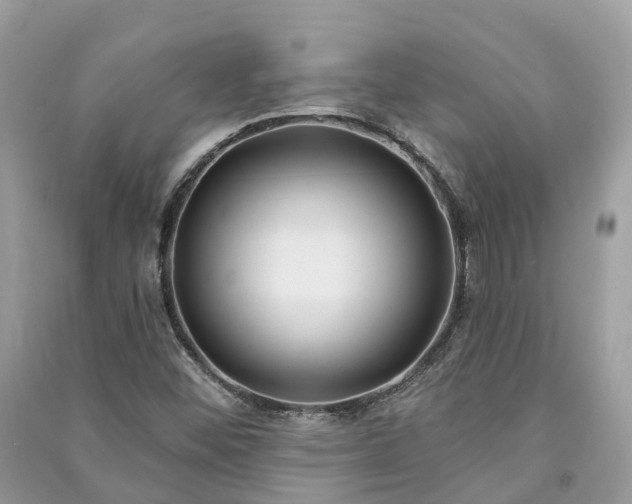 X0000091001452200708091530
