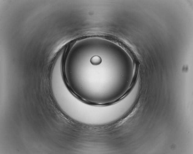 X0000091001453200708091530