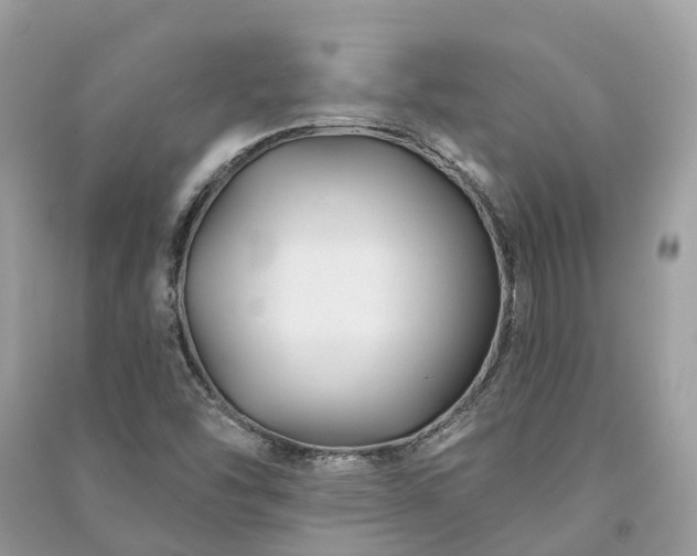 X0000091001454200708091530